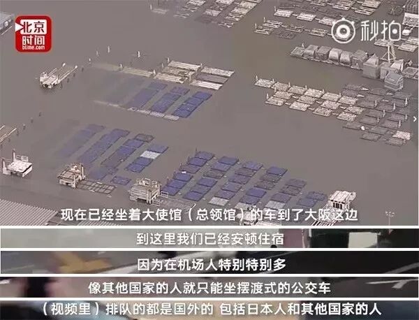 恐怖台风加6级地震 750名华人被困“孤岛” 中国领事馆霸气接人 全程感动！