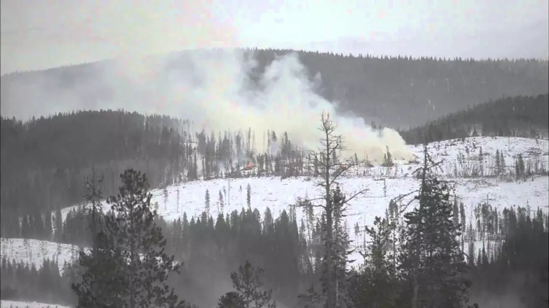 BC省冰火两重天！下着10CM大雪 烧着2万公顷山火 温哥华今年冬天将很难熬