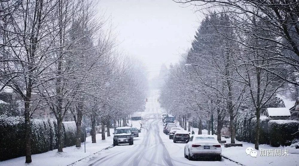 BC省冰火两重天！下着10CM大雪 烧着2万公顷山火 温哥华今年冬天将很难熬