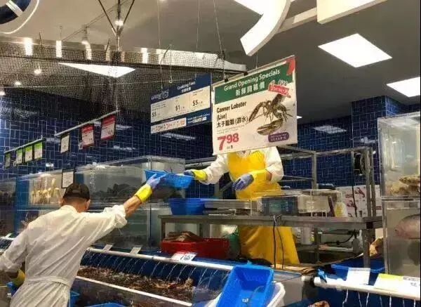 加拿大龙虾突然大降价！华人抢疯 1000多磅1天抢空 温哥华人要暴走