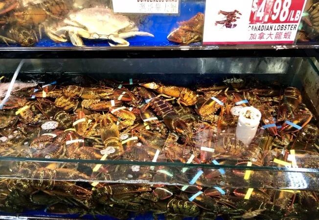 加拿大龙虾突然大降价！华人抢疯 1000多磅1天抢空 温哥华人要暴走