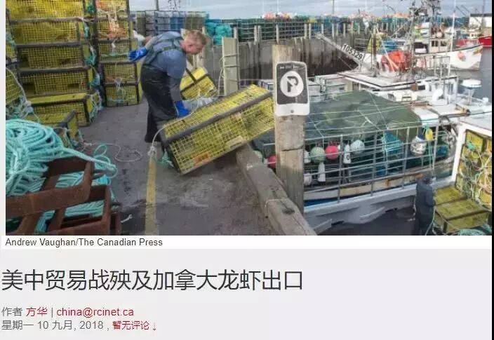 加拿大龙虾突然大降价！华人抢疯 1000多磅1天抢空 温哥华人要暴走