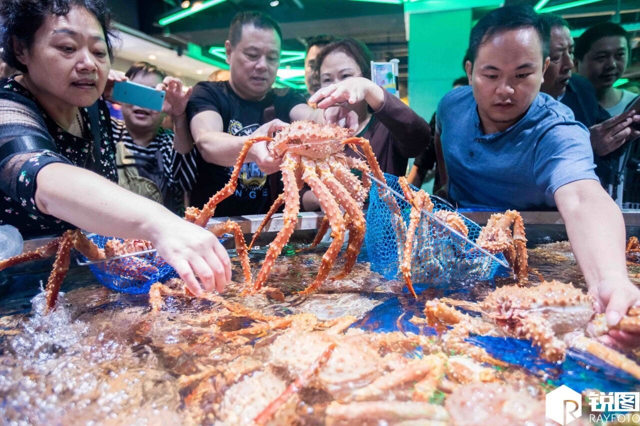 加拿大龙虾突然大降价！华人抢疯 1000多磅1天抢空 温哥华人要暴走