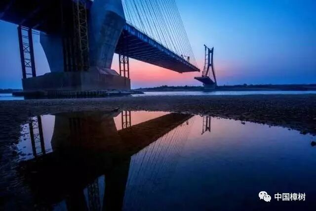 斜柱式后拉卡盘_斜拉桥图片_四桥平板车拉矿