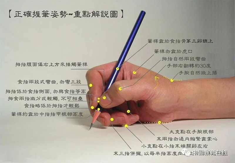 国家正式出台笔顺正确写法,很全面!建议老师和家长收藏