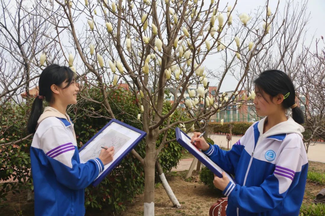 "校花"来了!_日照网