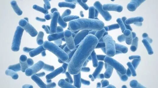 關于泡沫不得不說的問題！