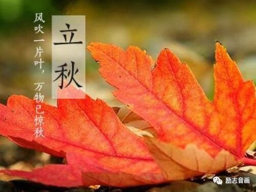 不用打字就可以聊天的图片【立秋专辑】