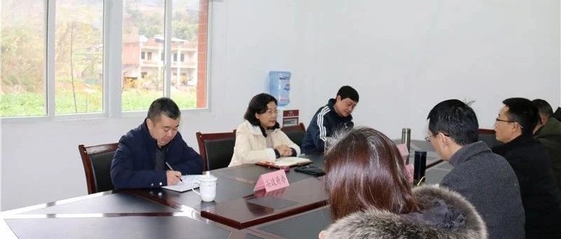 李霞到部分乡镇开展调研督导