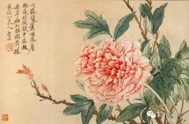 【名家欣赏】历代名家牡丹画大赏,国色天香!