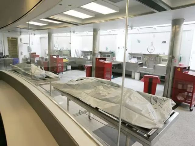 尸骨工厂电影_死尸工厂_尸体工厂