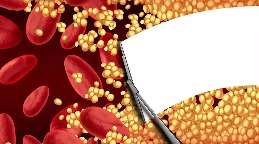 河北首道医药科技有限公司