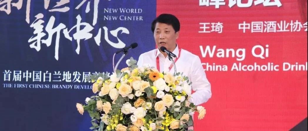 王琦:中国市场白兰地消费将迎来全新发展时代