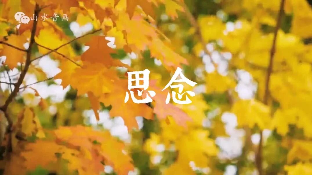 收录于合集⭐爱有多真，思念就有多深