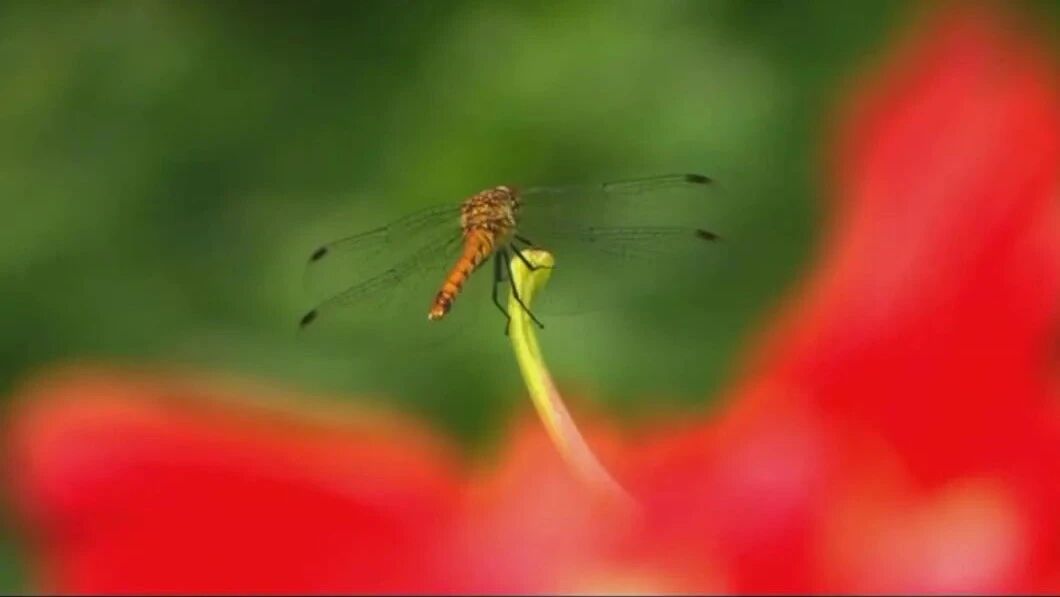 美丽的星期二，早安！