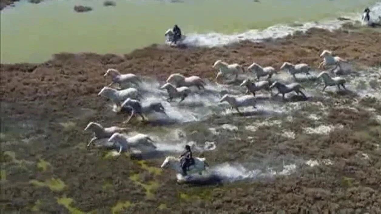 收录于合集⭐雅尼音乐《河西走廊之梦》深邃苍凉，壮阔激昂！