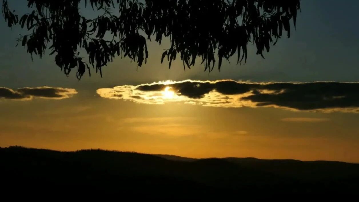 收录于合集⭐晚霞的剪影，美醉人心！