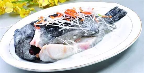 藻鳍岩鱼在哪里掉_圆鳍鱼_小菠萝鱼并鳍