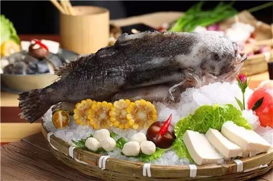 小菠萝鱼并鳍_圆鳍鱼_藻鳍岩鱼在哪里掉