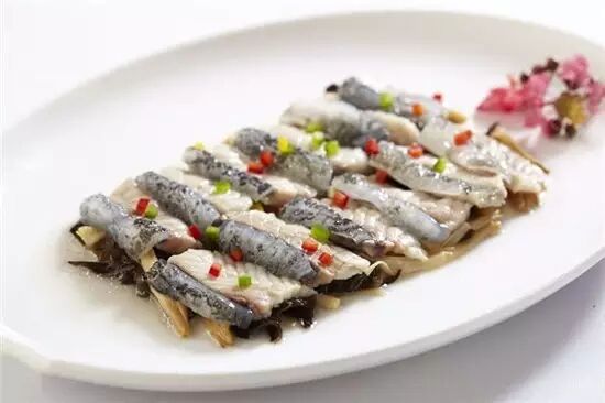 小菠萝鱼并鳍_藻鳍岩鱼在哪里掉_圆鳍鱼