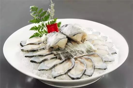 藻鳍岩鱼在哪里掉_圆鳍鱼_小菠萝鱼并鳍