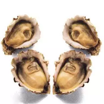 彰化牡蛎