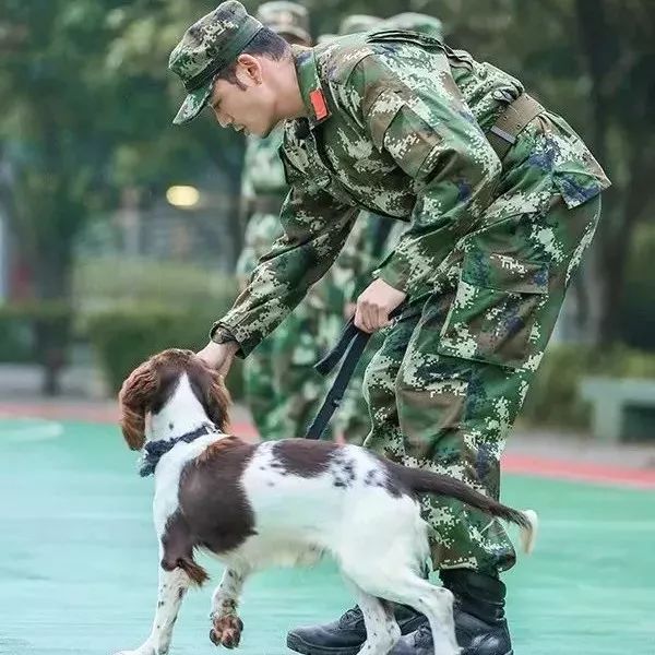 照看幼犬状况百出的杨烁,和“都乐”会越来越默契吗?