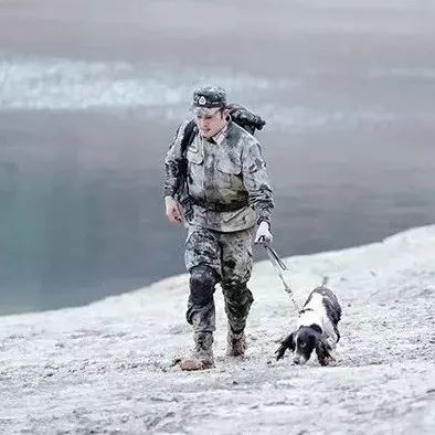 《奇兵神犬》:泥潭中奋勇向前的沙溢,在野外追捕中却玩起了花式“躲猫猫”