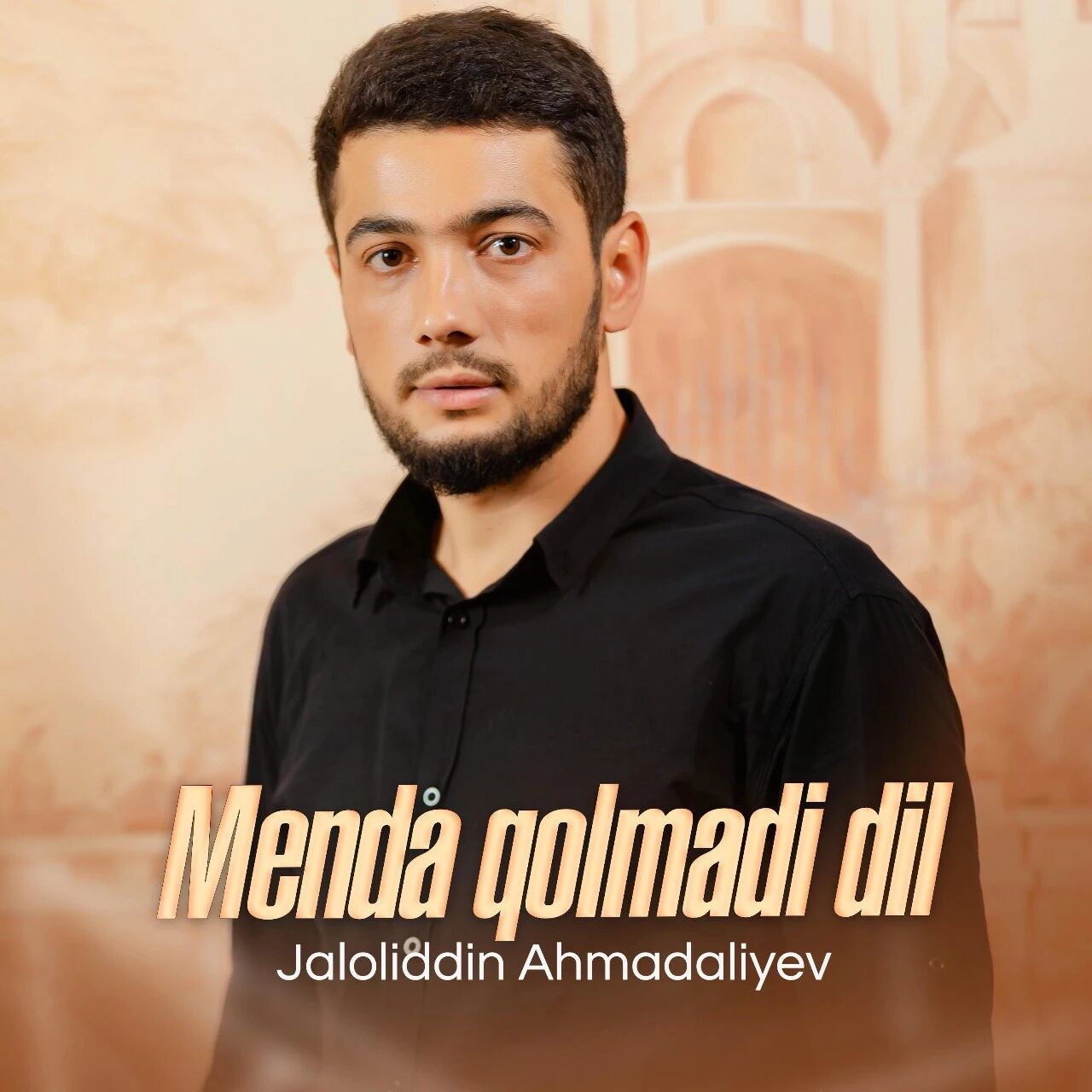 مەندە قالمىدى دىل海报