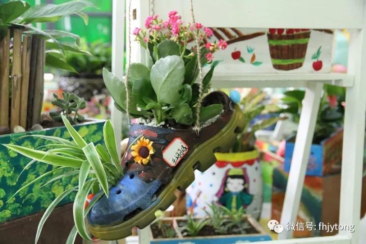 【图说】旧鞋和绿植搭配会怎样?