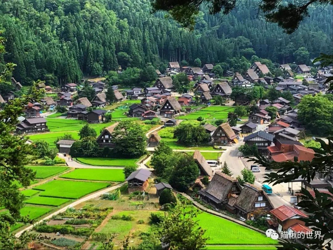 体验日本传统乡村风貌的白川乡之旅