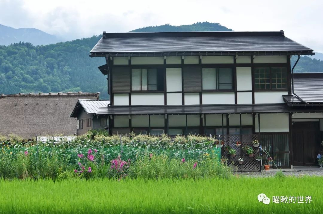 体验日本传统乡村风貌的白川乡之旅