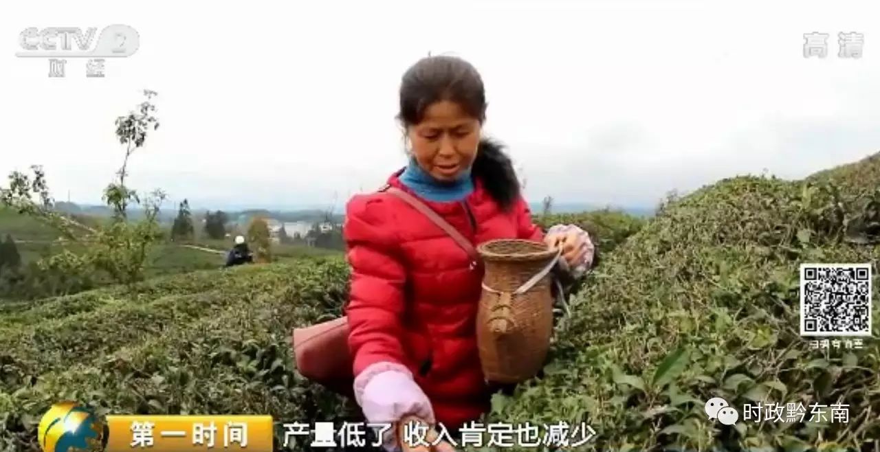 黔东南澳博注册网站平台电视台被贵州卫视点名了到底为什么 黔东南澳博注册网站平台电视台被贵州卫视点名了到底为什么