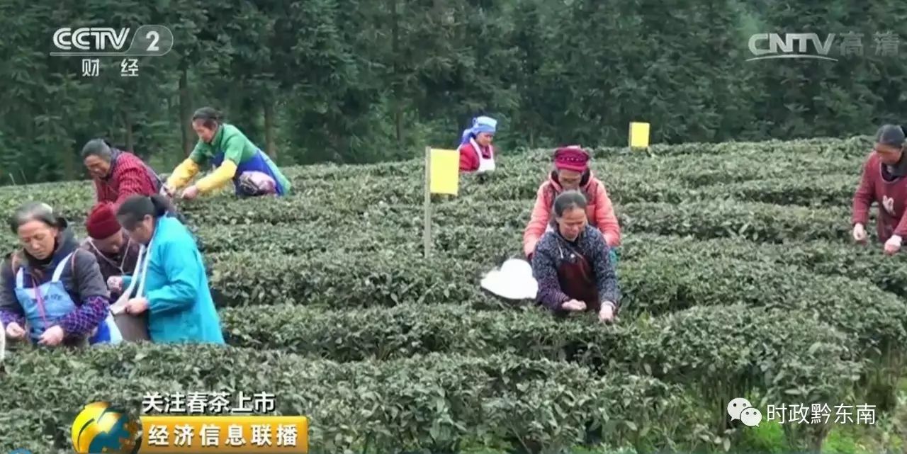 黔东南澳博注册网站平台电视台被贵州卫视点名了到底为什么 黔东南澳博注册网站平台电视台被贵州卫视点名了到底为什么