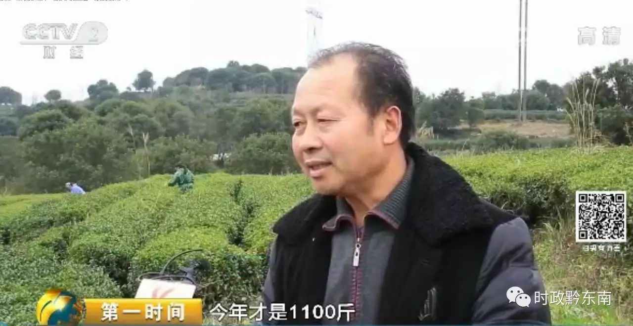 黔东南澳博注册网站平台电视台被贵州卫视点名了到底为什么 黔东南澳博注册网站平台电视台被贵州卫视点名了到底为什么