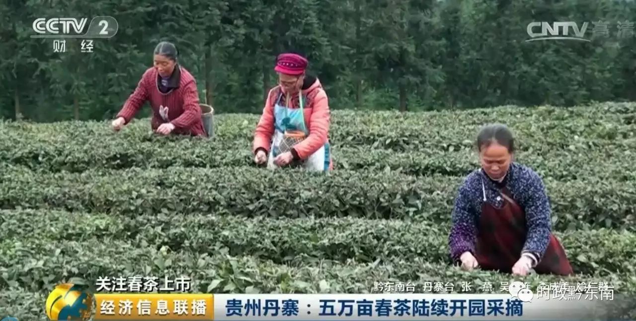 黔东南澳博注册网站平台电视台被贵州卫视点名了到底为什么 黔东南澳博注册网站平台电视台被贵州卫视点名了到底为什么
