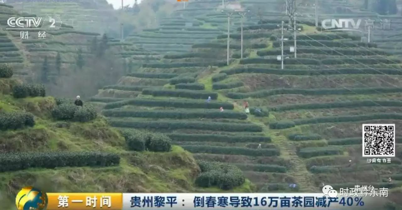 黔东南澳博注册网站平台电视台被贵州卫视点名了到底为什么 黔东南澳博注册网站平台电视台被贵州卫视点名了到底为什么