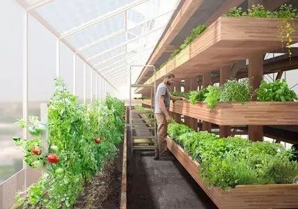 当全球可耕种面积只剩20%，“垂直农业”能否拯救全人类？