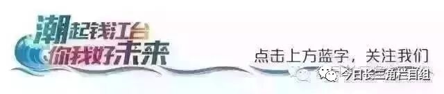 浙江卫视回看 浙江电视台《今日长三角》第338期播出回放