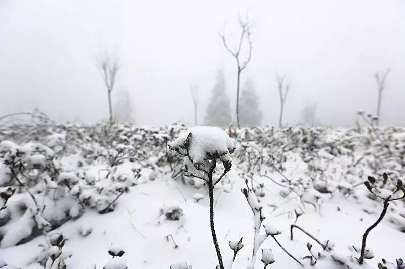 融雪之前 来武陵山大裂谷跟大雪来场亲密接触吧！