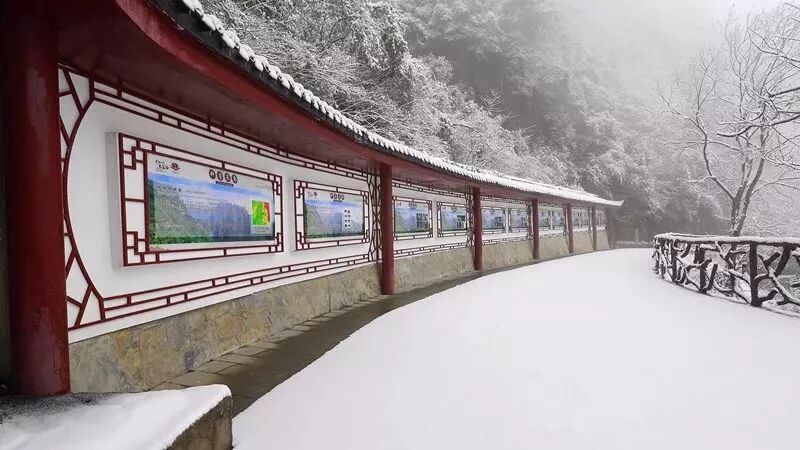 融雪之前 来武陵山大裂谷跟大雪来场亲密接触吧！