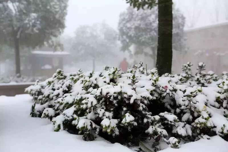 融雪之前 来武陵山大裂谷跟大雪来场亲密接触吧！