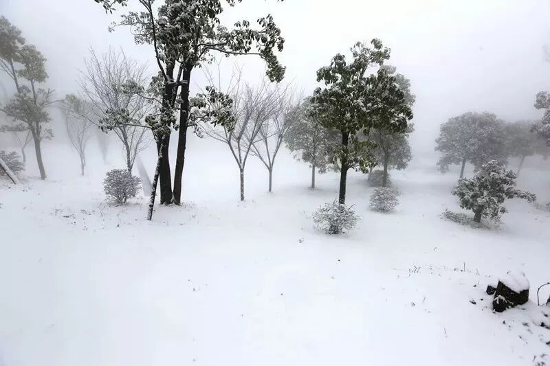 融雪之前 来武陵山大裂谷跟大雪来场亲密接触吧！