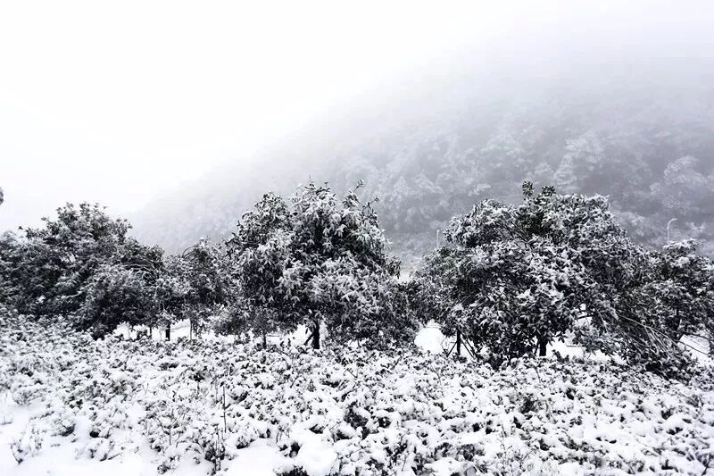 融雪之前 来武陵山大裂谷跟大雪来场亲密接触吧！
