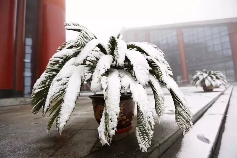 融雪之前 来武陵山大裂谷跟大雪来场亲密接触吧！