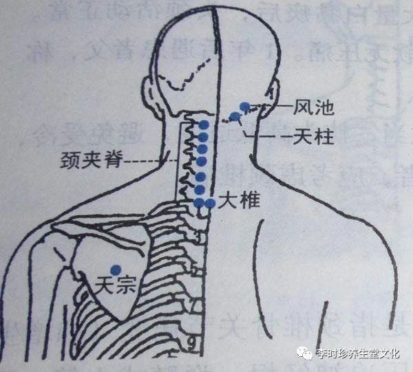 缓解颈椎病应该艾灸哪些穴位  颈夹脊不是一个穴位,而是一组穴位,在