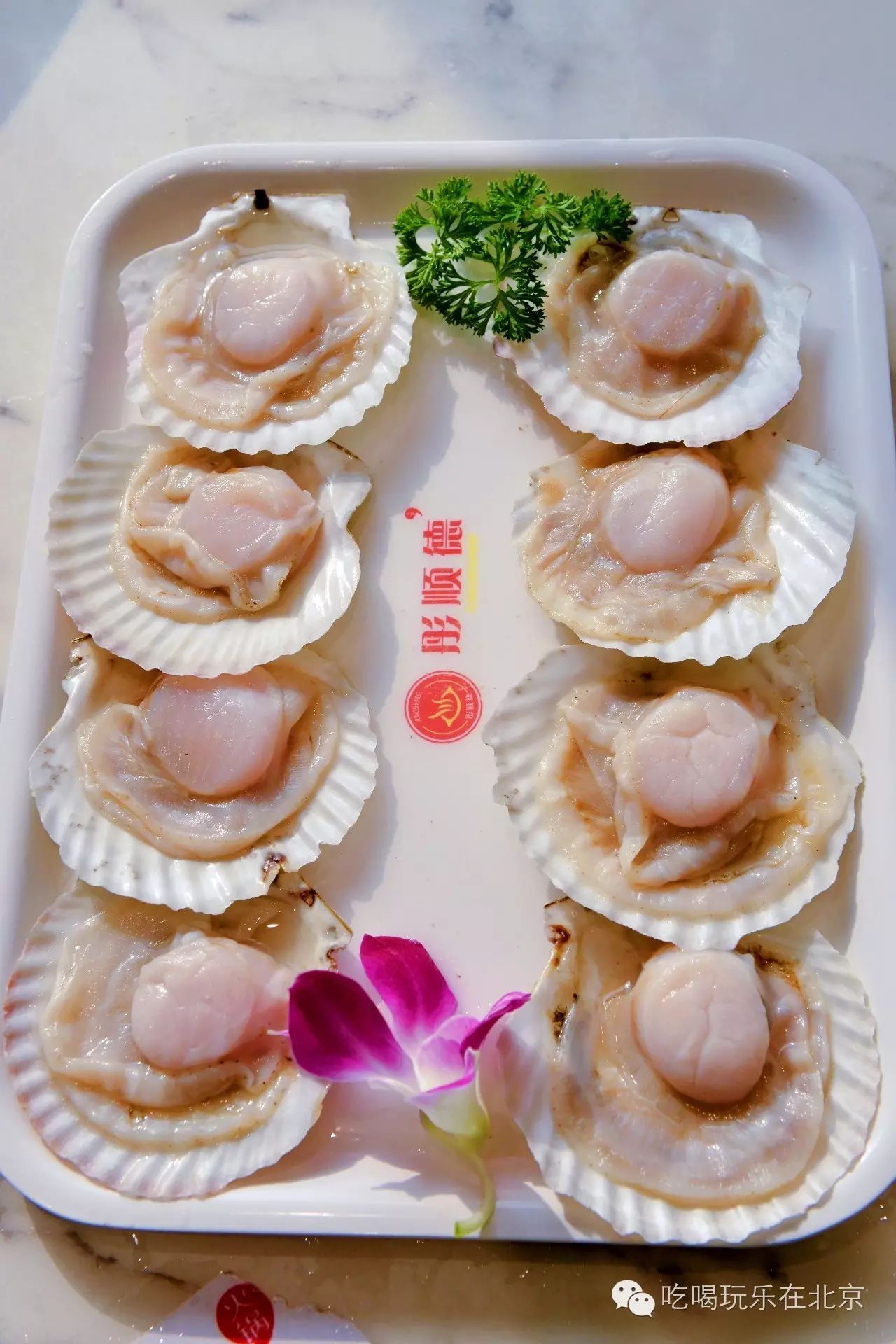 几块钱吃大闸蟹大虾海参生蚝鲍鱼火锅.帝都最逆天的扇贝海鲜来了!保健食品装瓶包图片