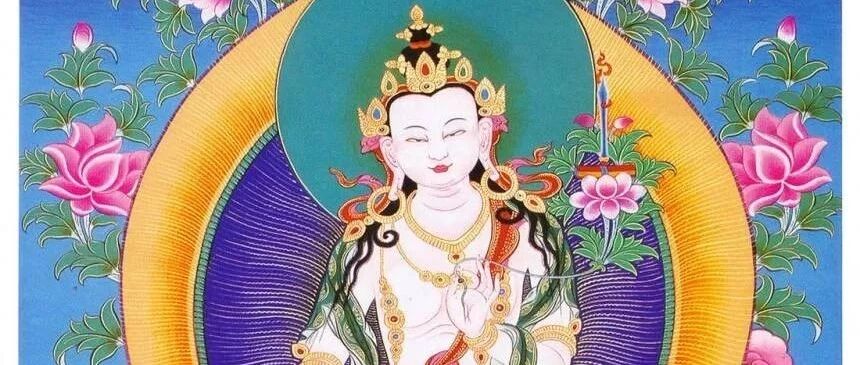 麟儿长相像哪吒 佩戴法器风火轮 长缨枪 论 山海经 龙宫取经疗伤 孔雀明王如来赐果攻毒 直心是道场 白骨圣行录 八 每日背诵金刚经