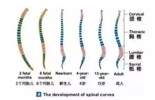 小孩掉床怎么叫魂_宝宝掉床几种民间说法_床可以丢掉吗有什么讲究