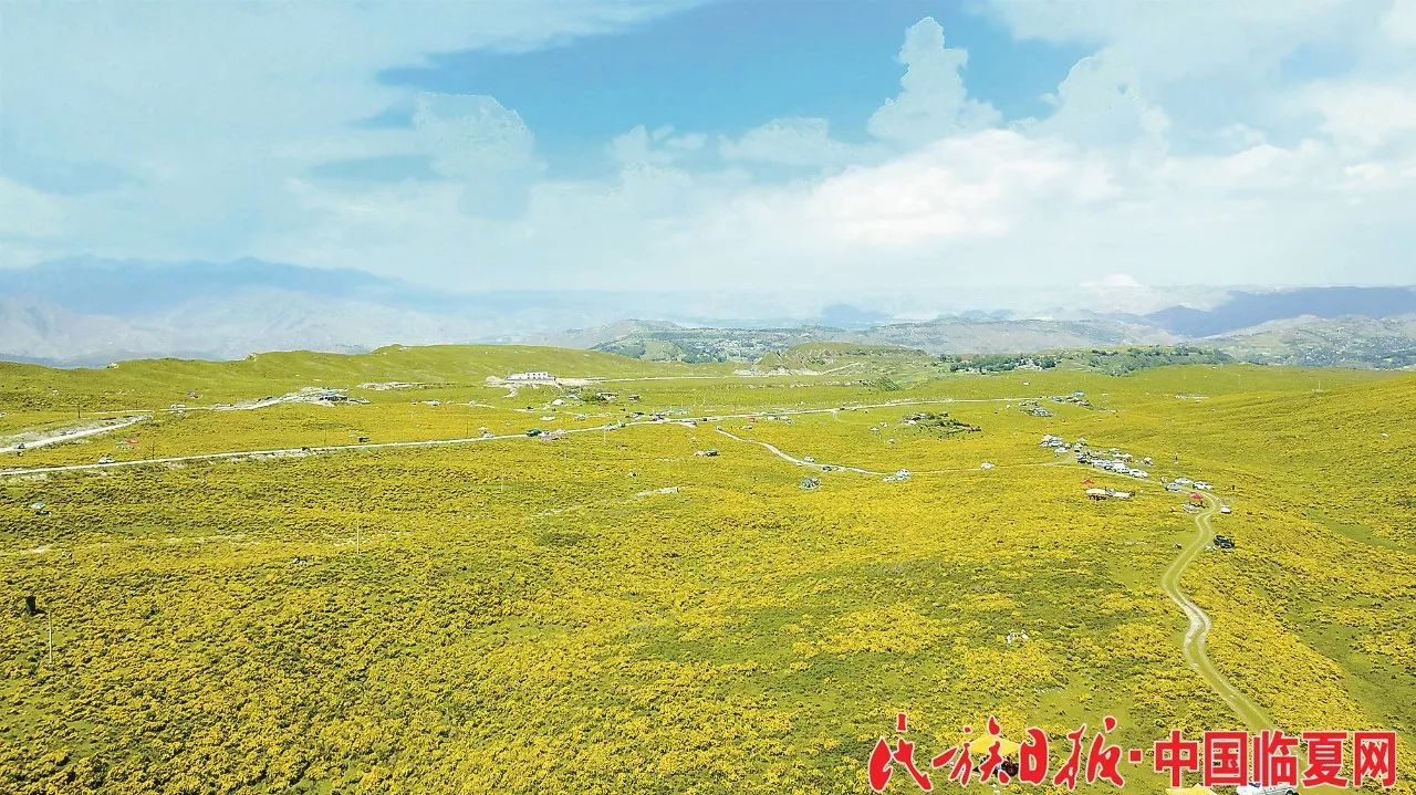 黄草坪风景区